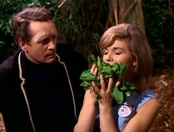 Number 86 gets high... must be all that weed